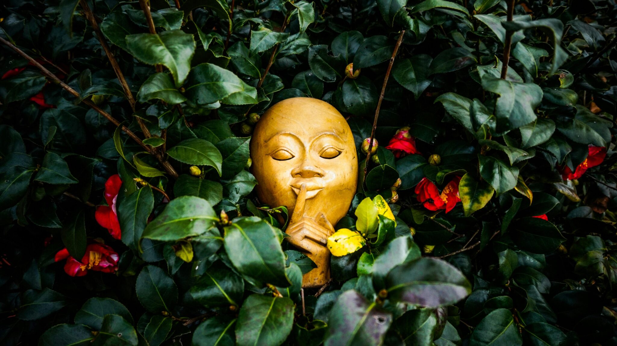 Daily Habits That Nurture Your Emotional Harmony