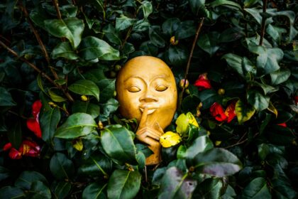 Daily Habits That Nurture Your Emotional Harmony