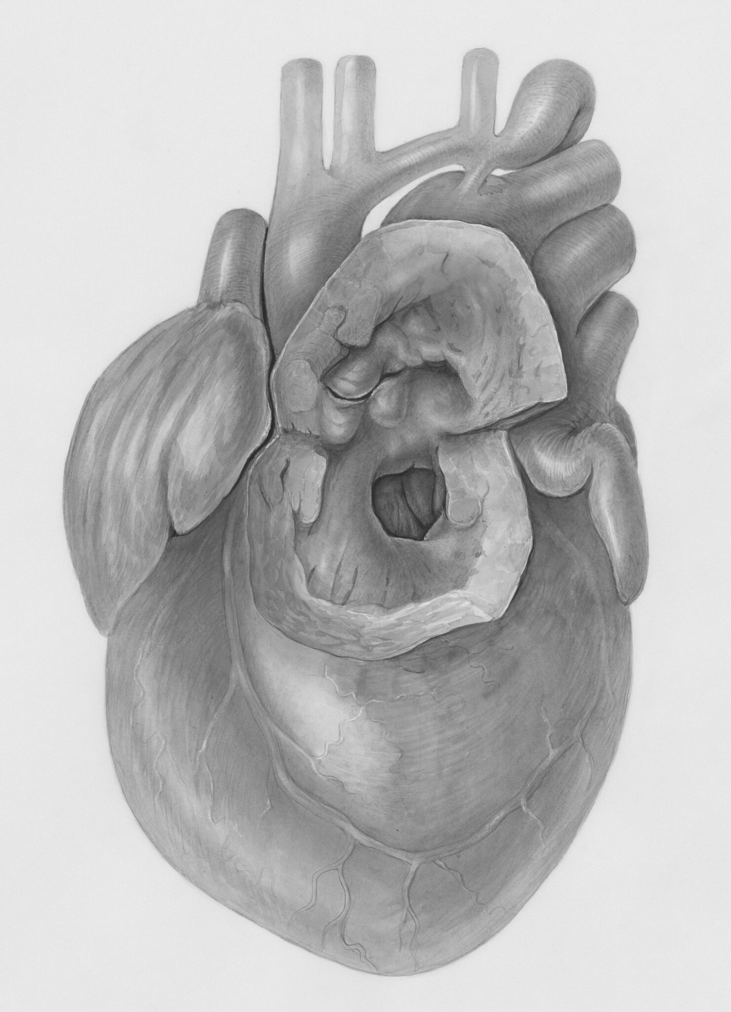 When Your Heart Says Enough: Signs You Need Boundaries