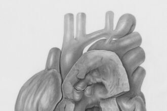 When Your Heart Says Enough: Signs You Need Boundaries