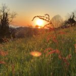 The Heartfelt Magic of Gratitude and Appreciation in Love