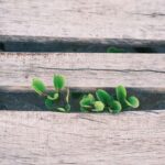 Finding Your Why: The Heart of Lasting Growth and Success