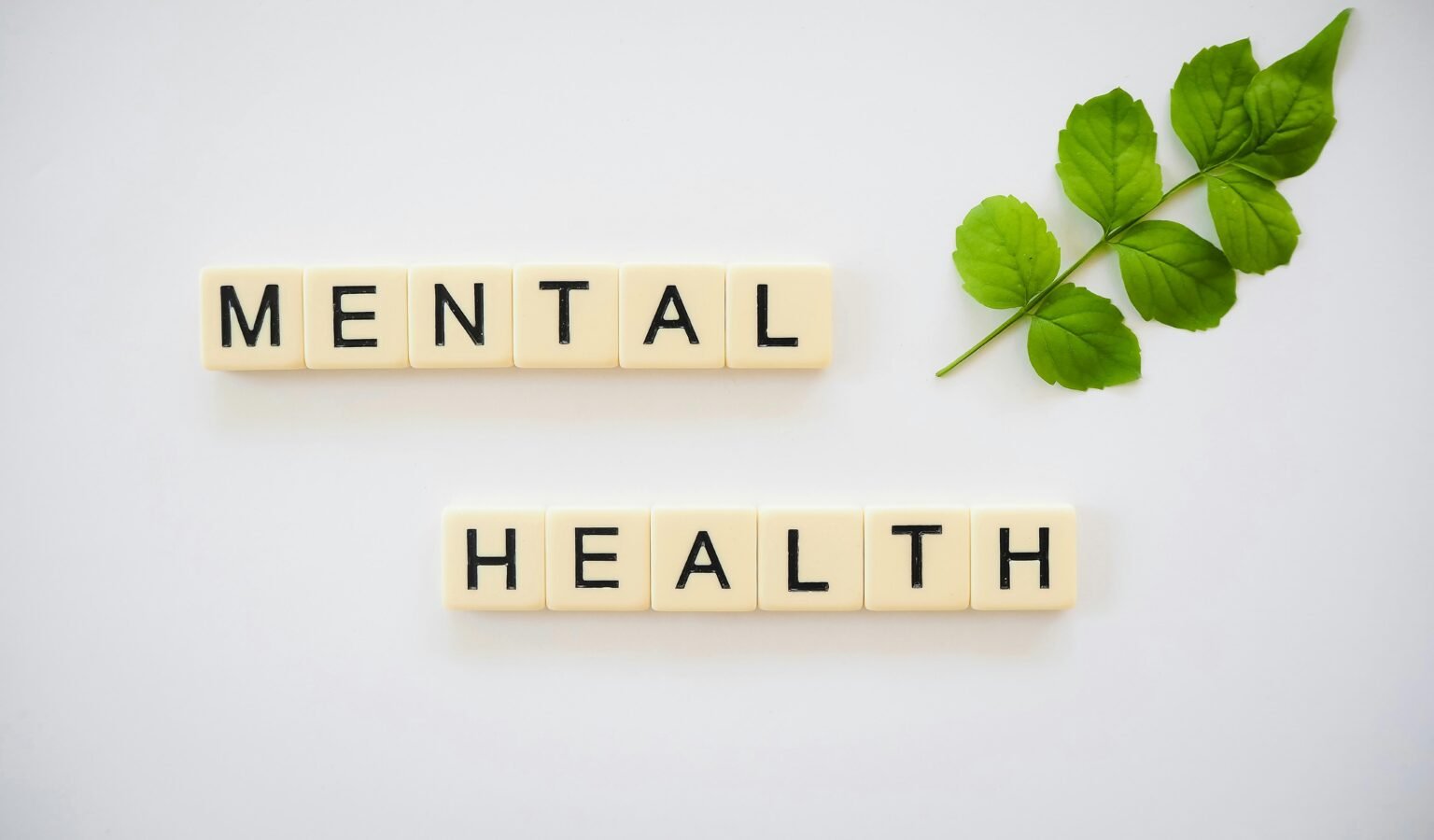 Healthy vs. Unhealthy Boundaries: Protect Your Heart and Soul