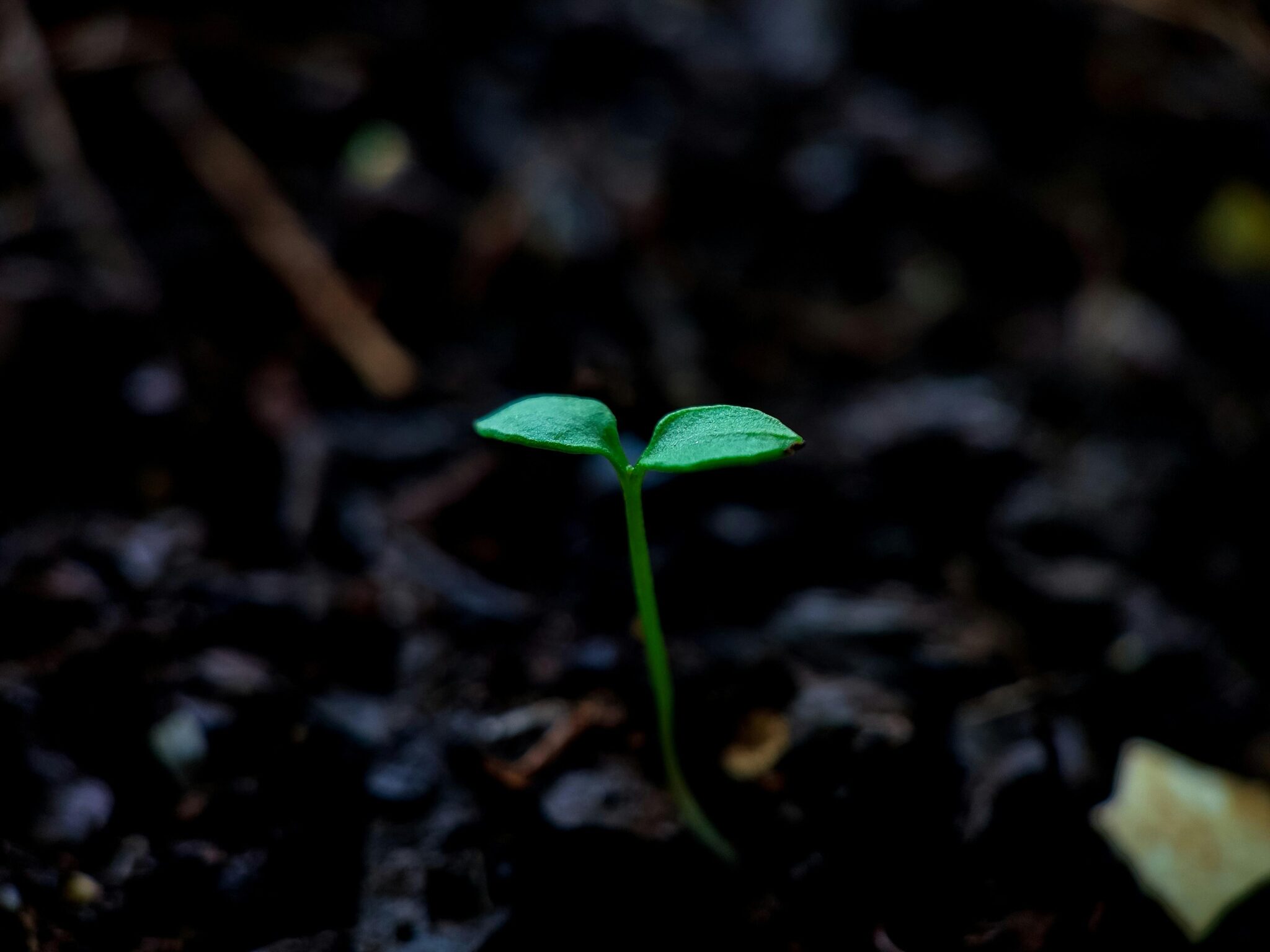 Finding Your Light: A Heartfelt Guide to Spiritual Growth