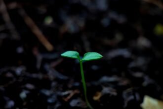 Finding Your Light: A Heartfelt Guide to Spiritual Growth