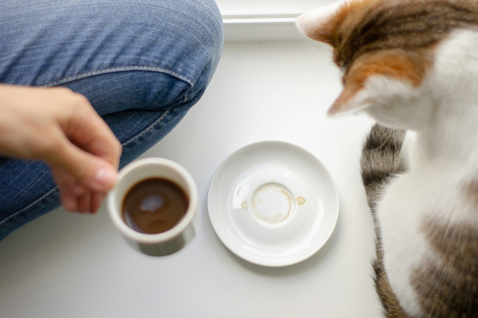 Find Peace: How to Create a Calm Morning Routine Daily