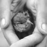 Growing Compassion: How to Cultivate Empathy and Support
