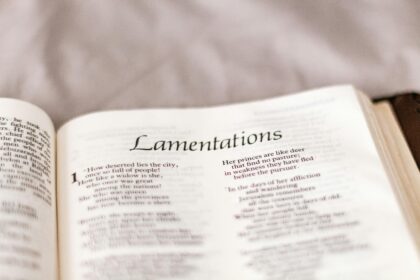 Healing Words: Affirmations to Nurture Your Emotions