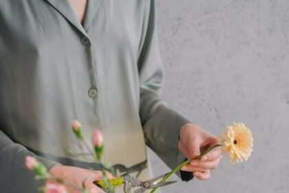 Healing Your Mind: Affirmations to Release Negativity