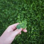 Finding Peace Within: Using Affirmations to Cultivate Calm