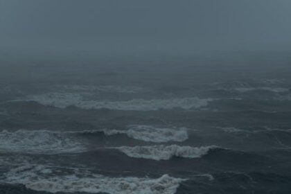 Unlocking Change: The Emotional Power of Habits and You
