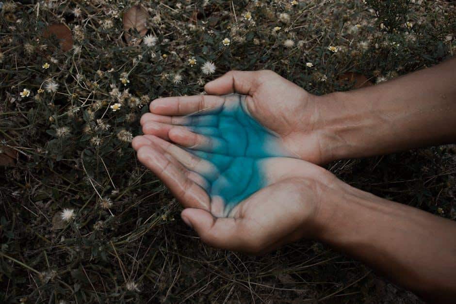 Breaking Free: Embrace Your Unique Path, Let Go of Comparison