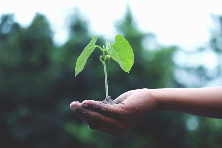 Embracing Growth: Celebrate Progress Over Perfection