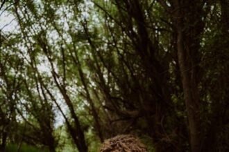 Finding Presence: Healing After Years of Emotional Numbing