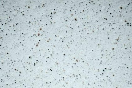 Set Strong Boundaries: Embrace Your Power with Assertive Words