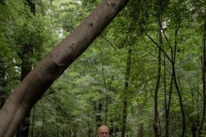 The Quiet Path: Embracing Silence for Deep Spiritual Growth