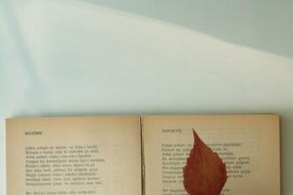 Soulful Verses: Inspirational Poems to Lift Your Spirit