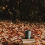 Finding Serenity: Books That Inspire Inner Peace and Calm