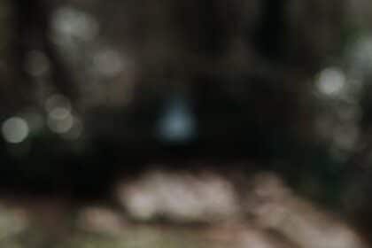 Unlock Your Creative Power: Using Affirmations Daily