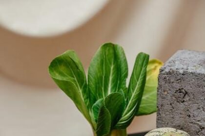 Mending Hearts: Healing Attachment Wounds for Deeper Bonds